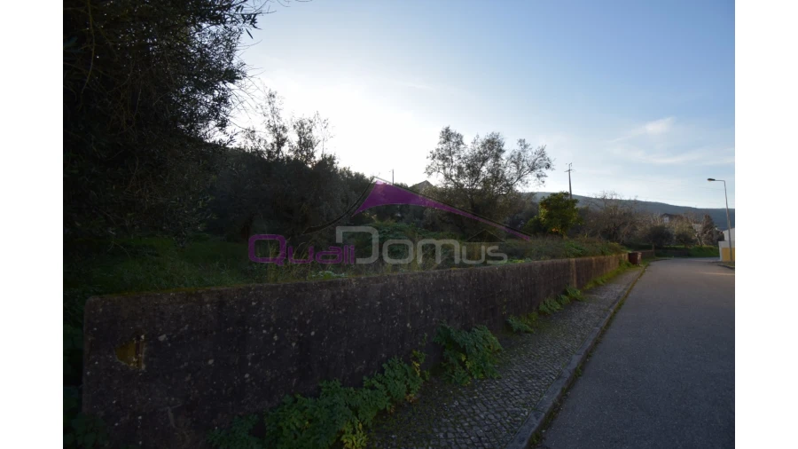 Terreno para Venda em Minde Foto 5