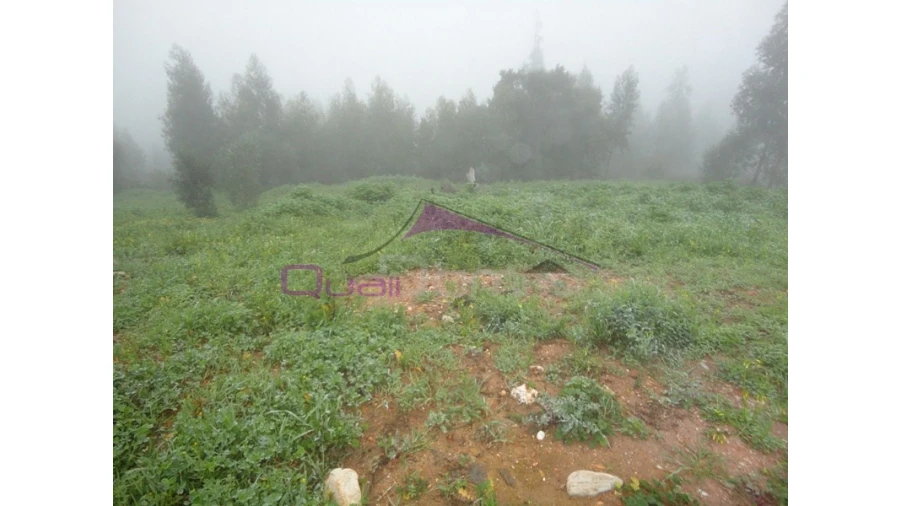 Terreno para Venda em Praia do Ribatejo