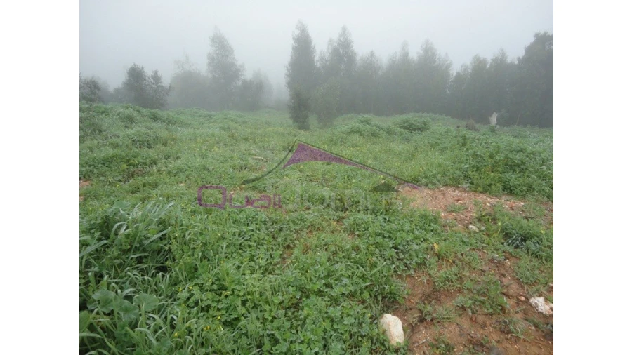 Terreno para Venda em Praia do Ribatejo Foto 2