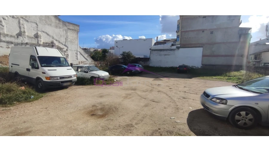 Terreno para Venda em São João Baptista Foto 4