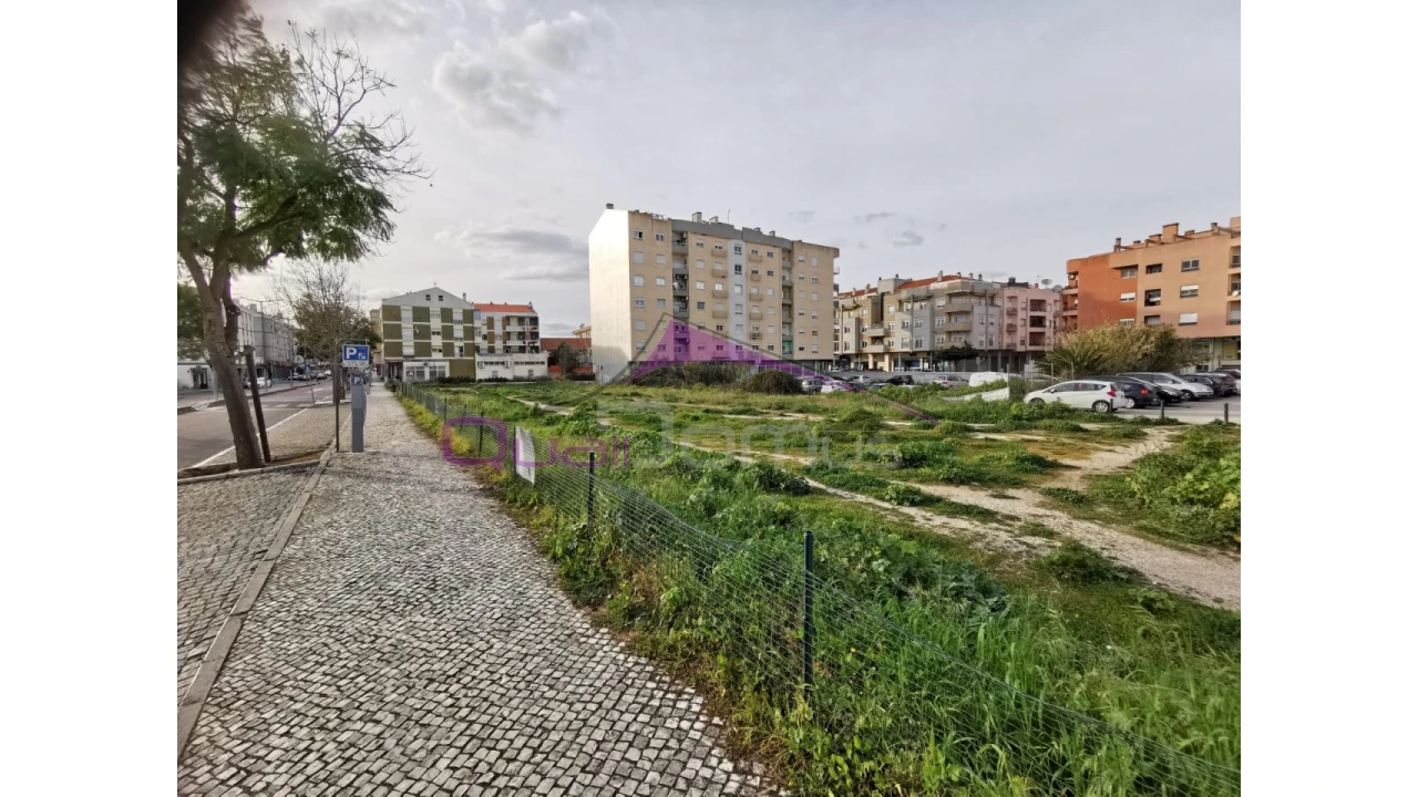 Terreno para Venda em São João Baptista Foto 3