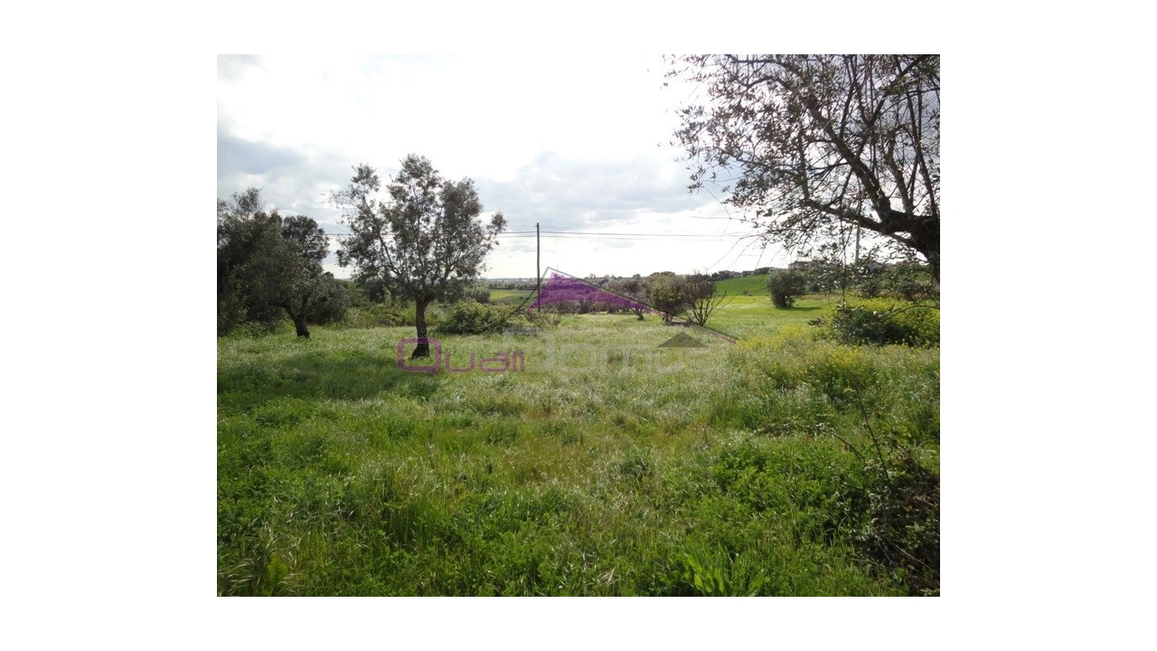 Terreno Agricola ou Rústico para Venda em Brogueira, Parceiros de Igreja e Alcorochel Foto 1