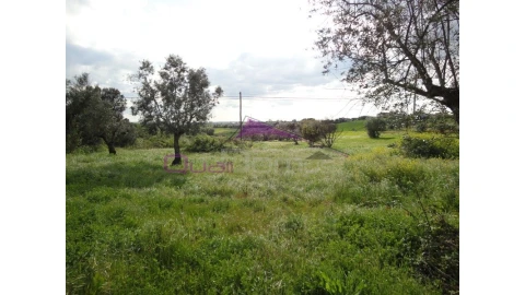 Terreno Agricola ou Rústico para Venda em Brogueira, Parceiros de Igreja e Alcorochel