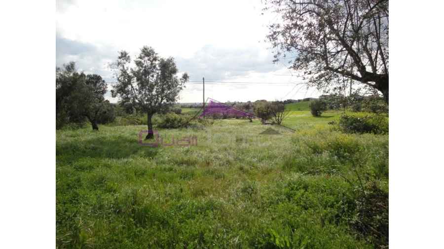 Terreno Agricola ou Rústico para Venda em Brogueira, Parceiros de Igreja e Alcorochel