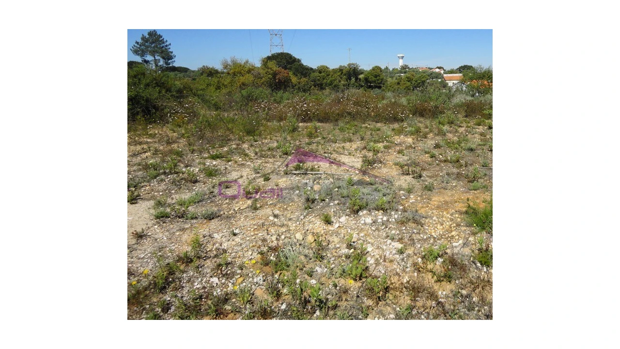 Terreno Agricola ou Rústico para Venda em Santa Margarida da Coutada Foto 2