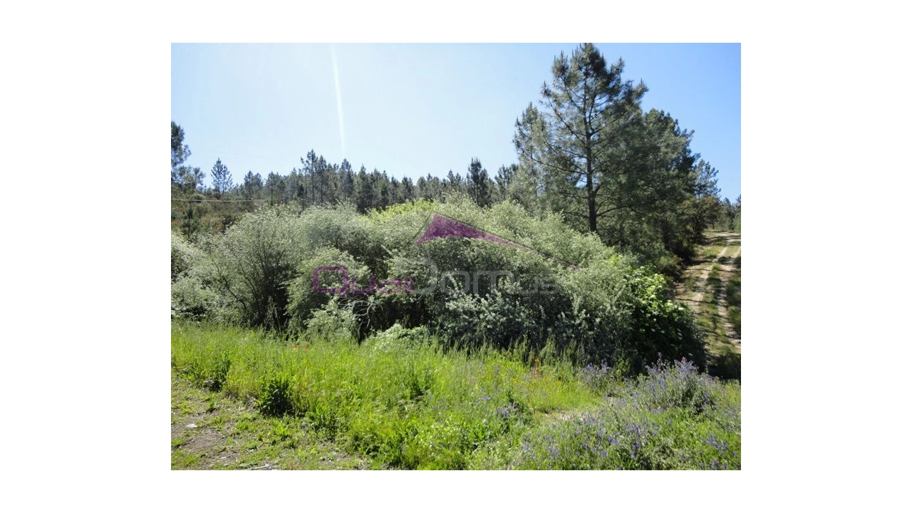 Terreno Agricola ou Rústico para Venda em Santa Margarida da Coutada Foto 3