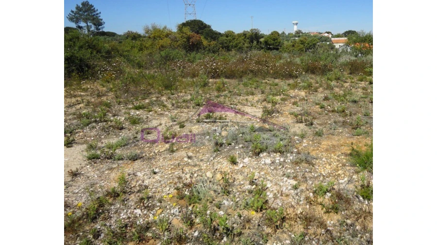 Terreno Agricola ou Rústico para Venda em Santa Margarida da Coutada Foto 2