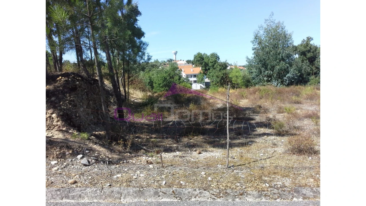 Terreno Agricola ou Rústico para Venda em Santa Margarida da Coutada Foto 5