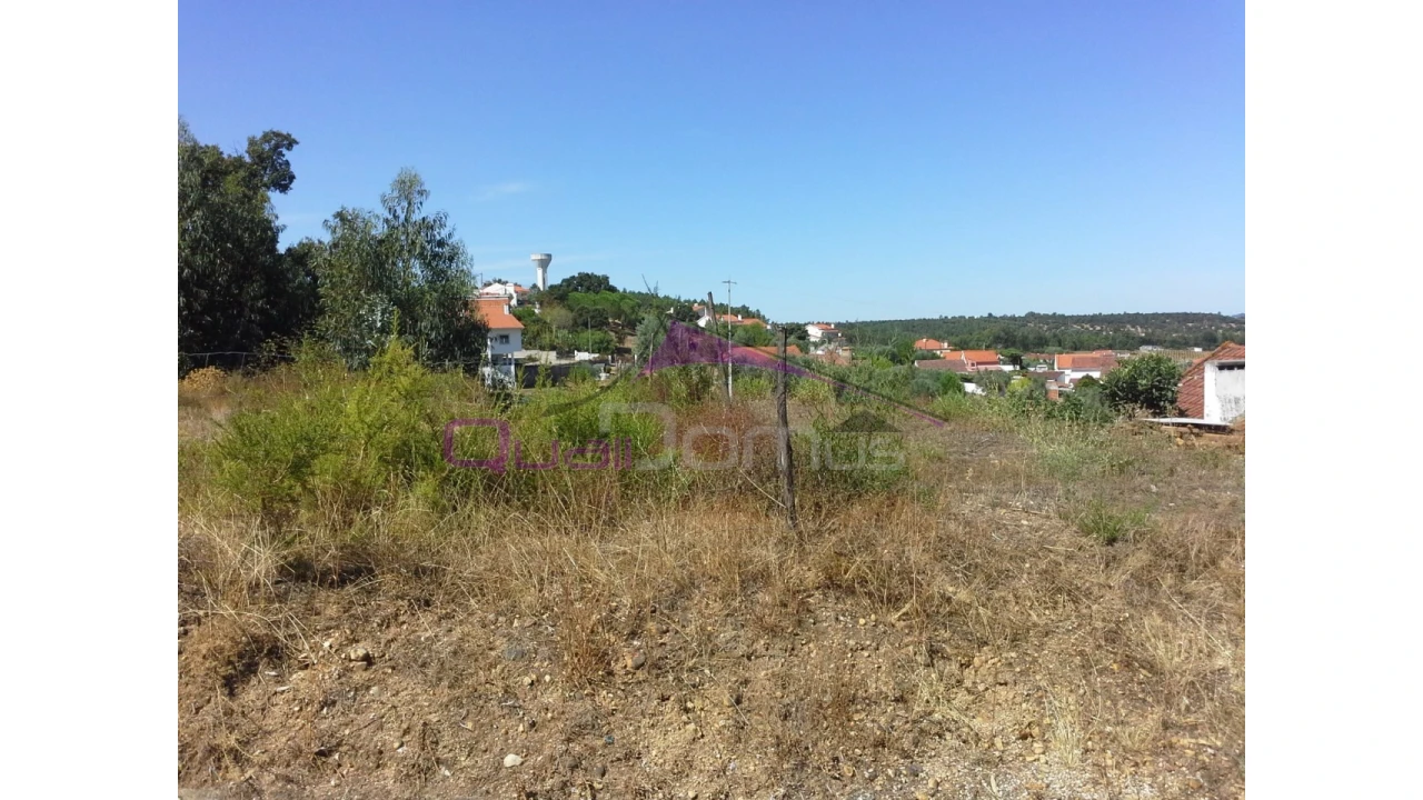 Terreno Agricola ou Rústico para Venda em Santa Margarida da Coutada Foto 7