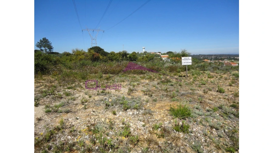 Terreno Agricola ou Rústico para Venda em Santa Margarida da Coutada
