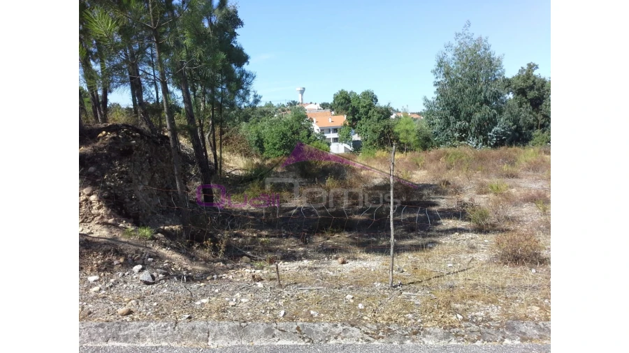 Terreno Agricola ou Rústico para Venda em Santa Margarida da Coutada Foto 5
