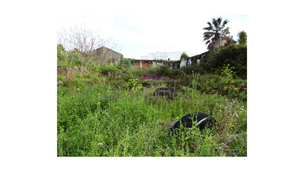 Terreno para Venda em Alcanena e Vila Moreira Foto 3