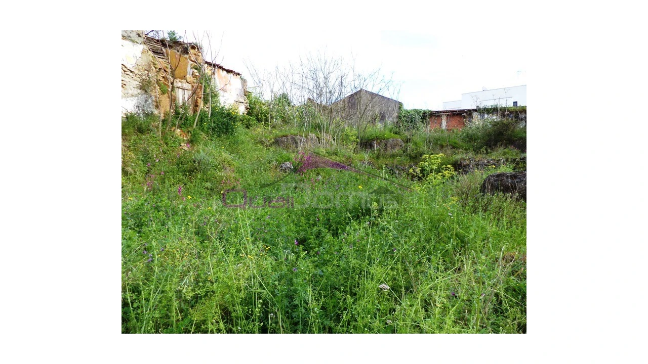 Terreno para Venda em Alcanena e Vila Moreira Foto 4