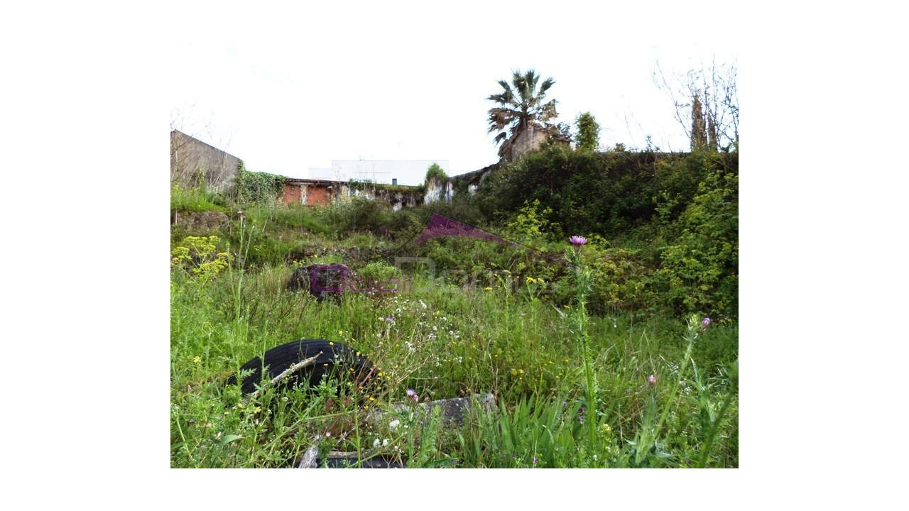 Terreno para Venda em Alcanena e Vila Moreira Foto 5
