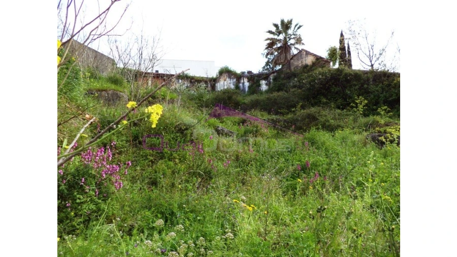 Terreno para Venda em Alcanena e Vila Moreira Foto 2