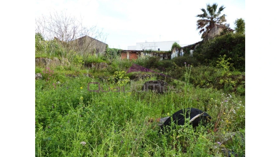 Terreno para Venda em Alcanena e Vila Moreira Foto 3
