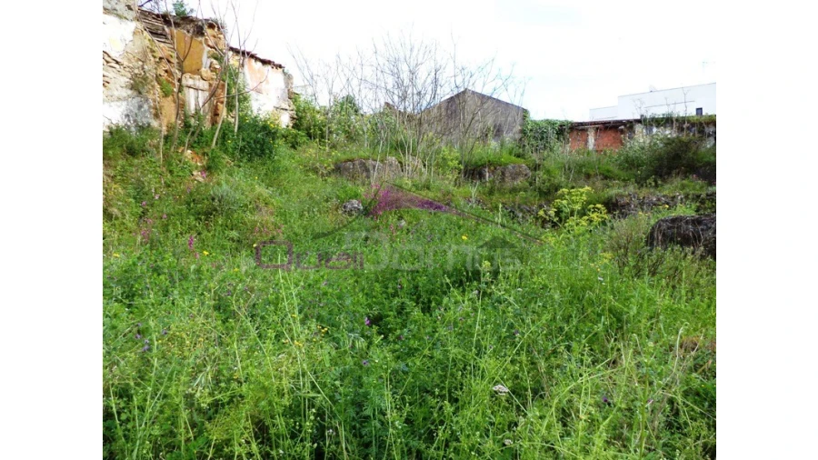 Terreno para Venda em Alcanena e Vila Moreira Foto 4