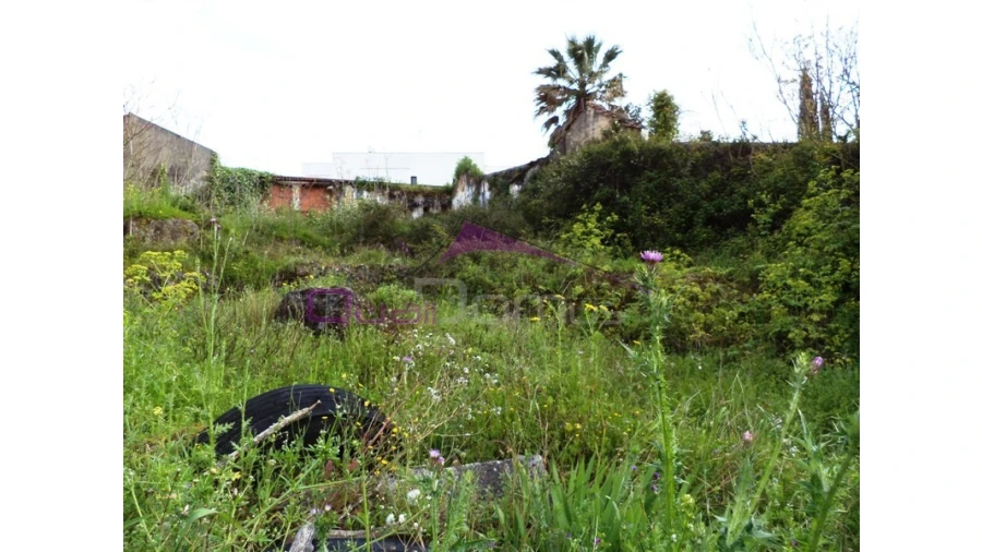 Terreno para Venda em Alcanena e Vila Moreira Foto 5