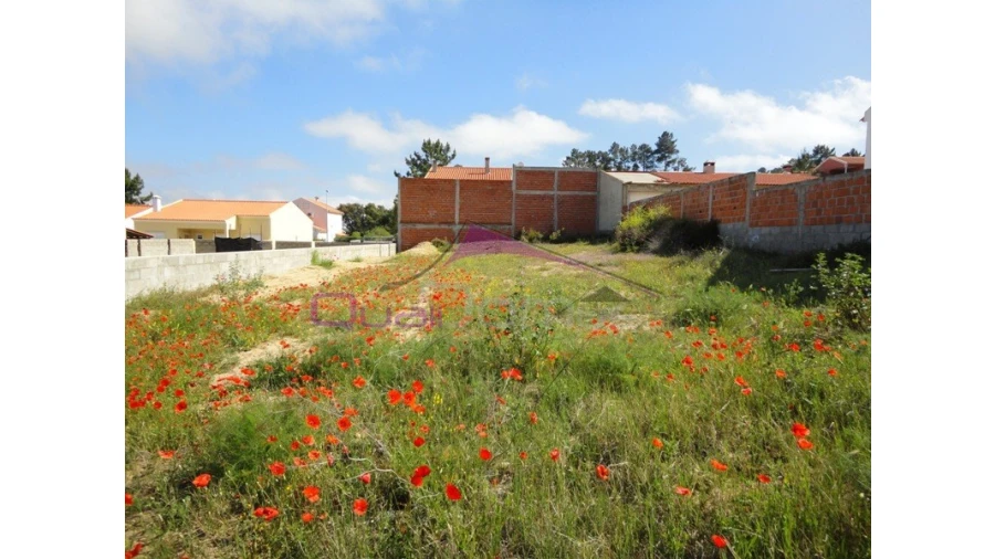 Terreno para Venda em Carregueira Foto 1