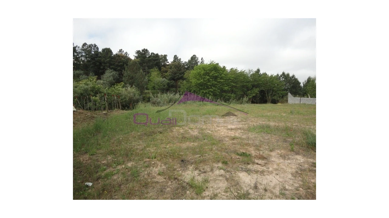 Terreno para Venda em Chamusca e Pinheiro Grande Foto 1