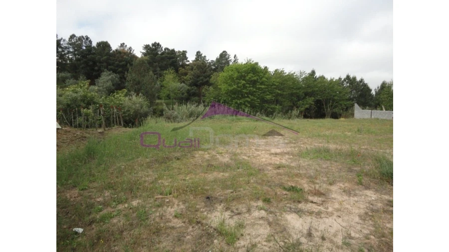 Terreno para Venda em Chamusca e Pinheiro Grande Foto 1