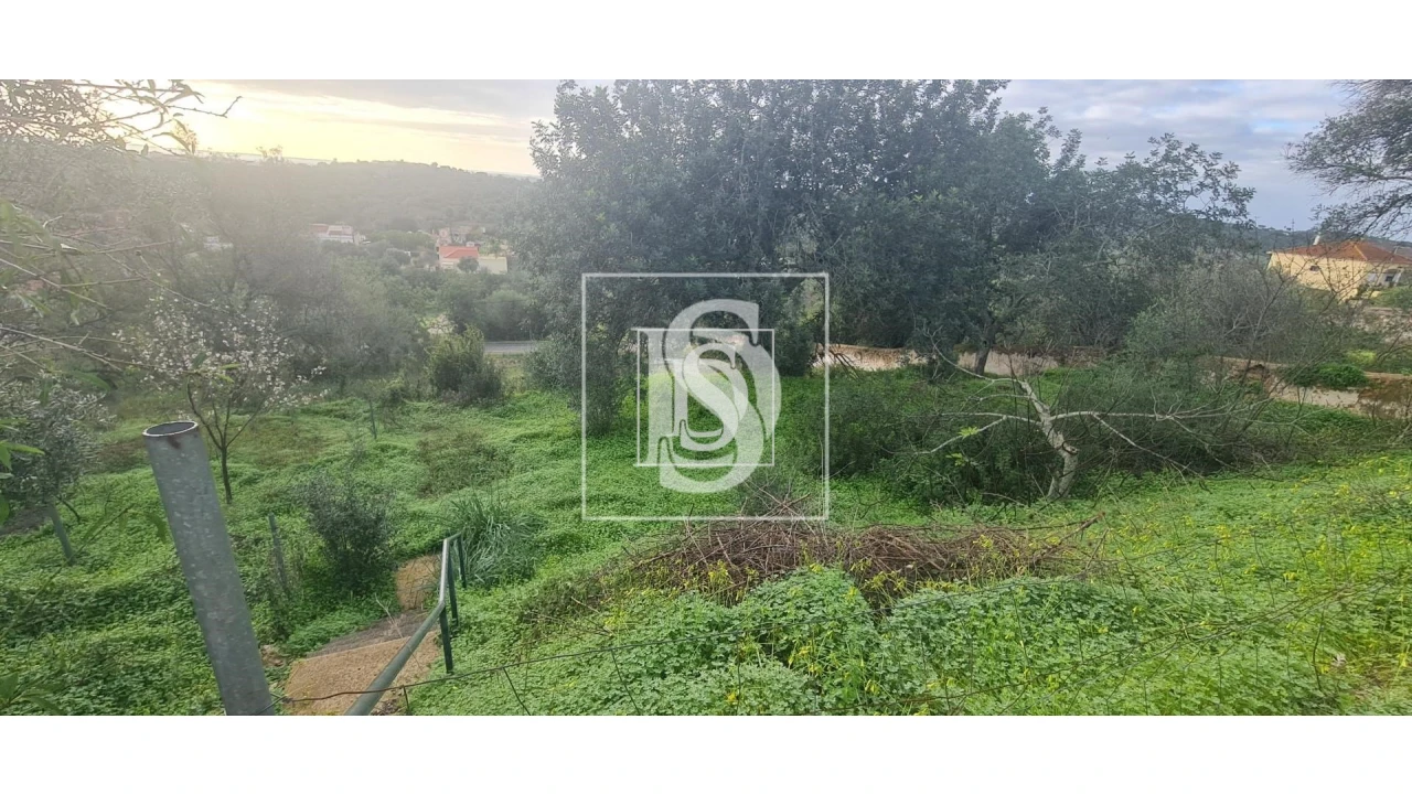 Terreno para Venda em São Bartolomeu de Messines Foto 3