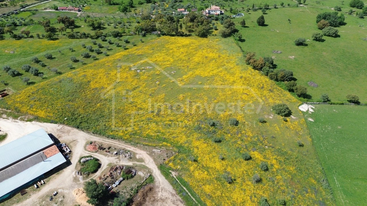 Quinta T1 para Venda em Escalos de Cima e Lousa Foto 9