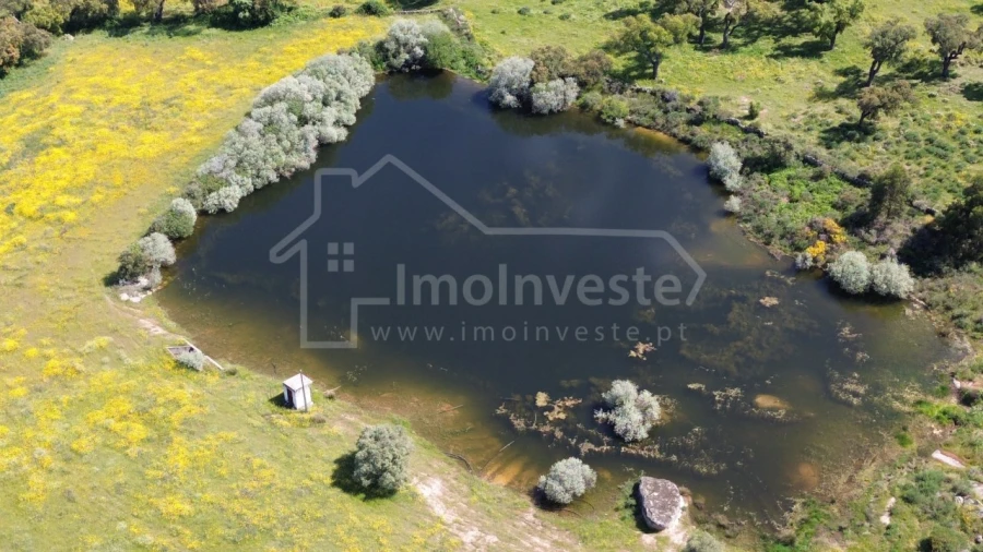 Quinta T1 para Venda em Escalos de Cima e Lousa Foto 5