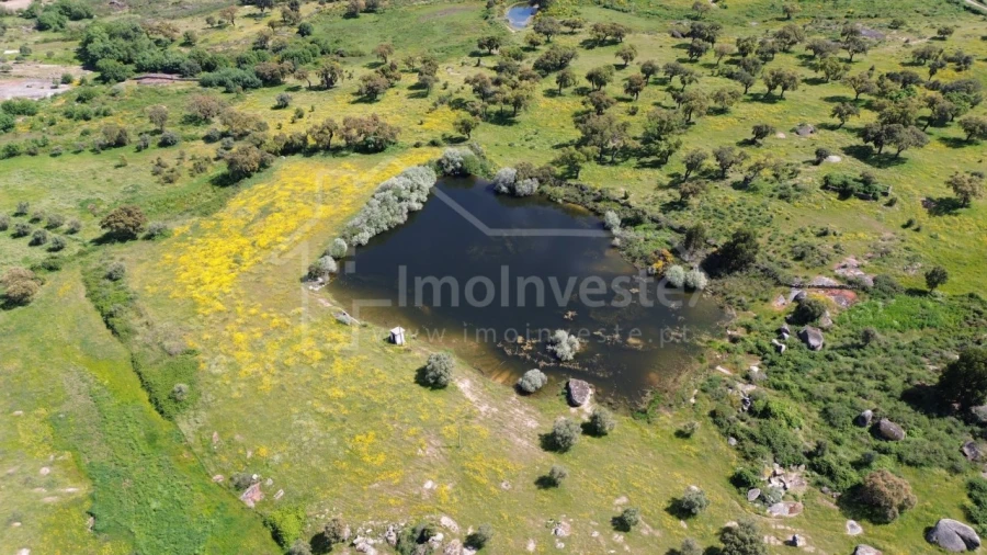 Quinta T1 para Venda em Escalos de Cima e Lousa Foto 6