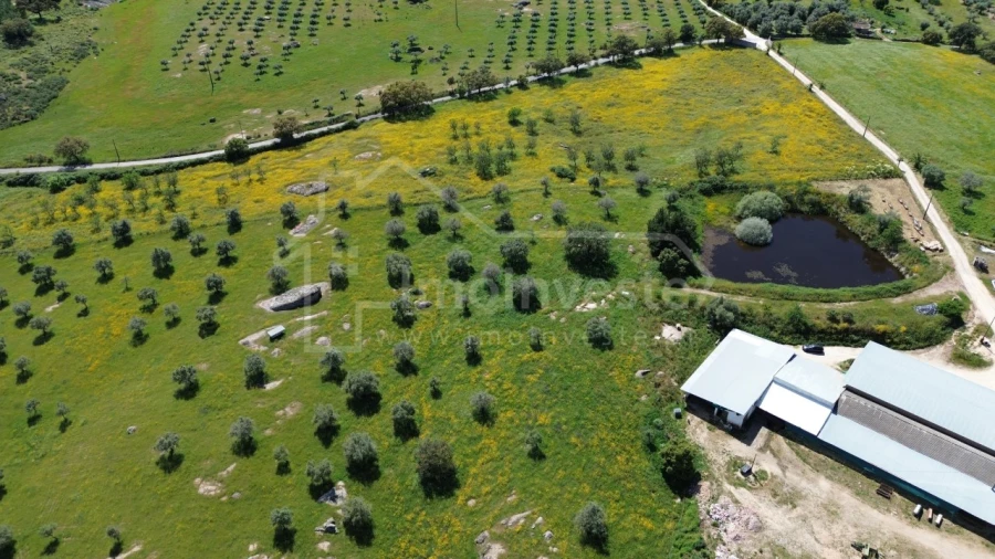 Quinta T1 para Venda em Escalos de Cima e Lousa Foto 12