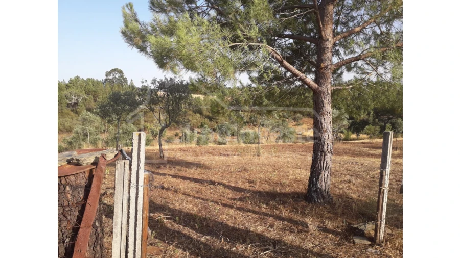 Terreno Agricola ou Rústico para Venda em Benquerenças