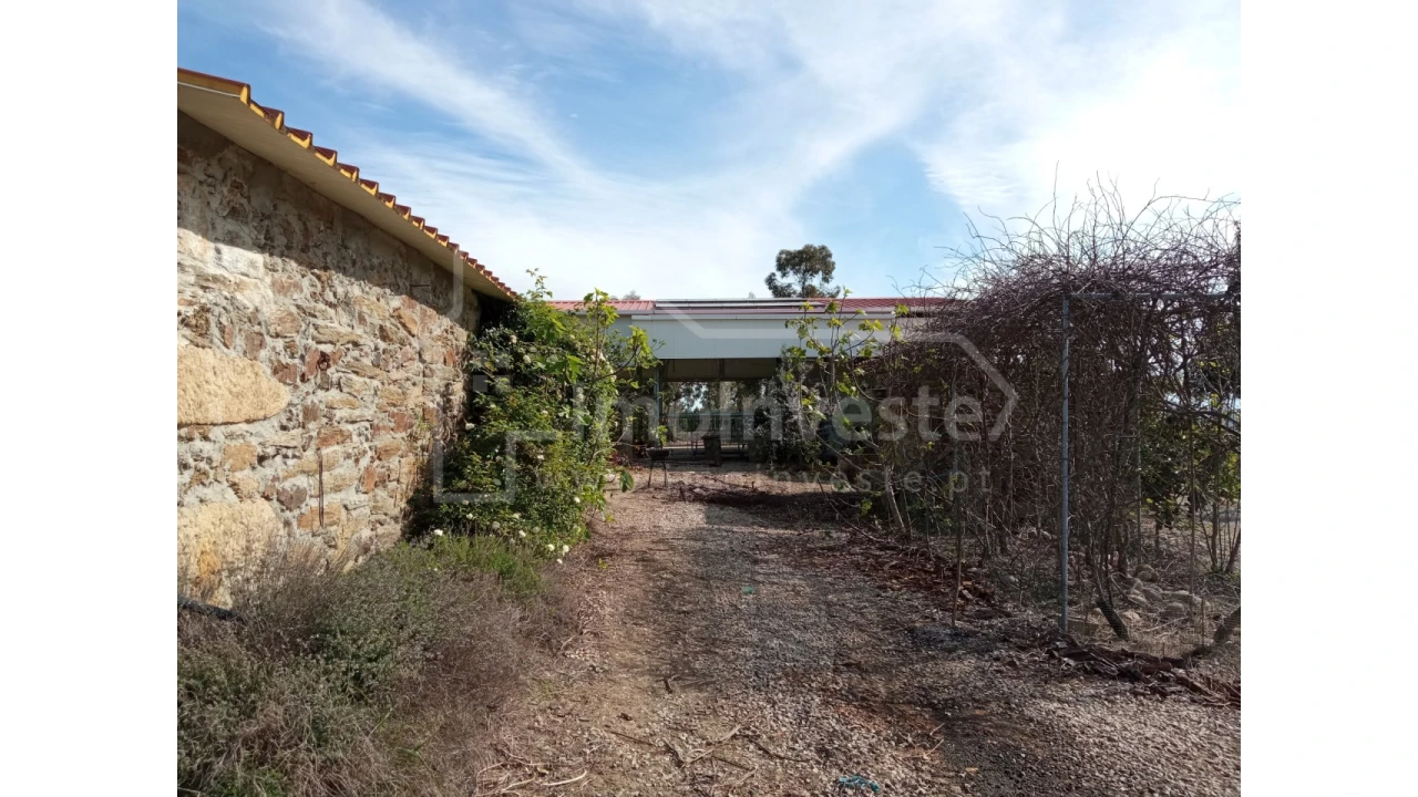 Quinta T1 para Venda em Escalos de Baixo e Mata Foto 10