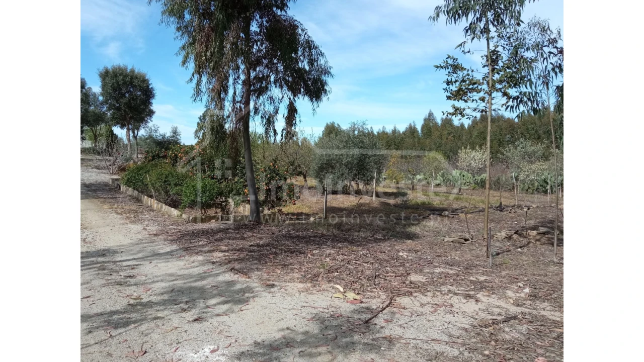 Quinta T1 para Venda em Escalos de Baixo e Mata Foto 33