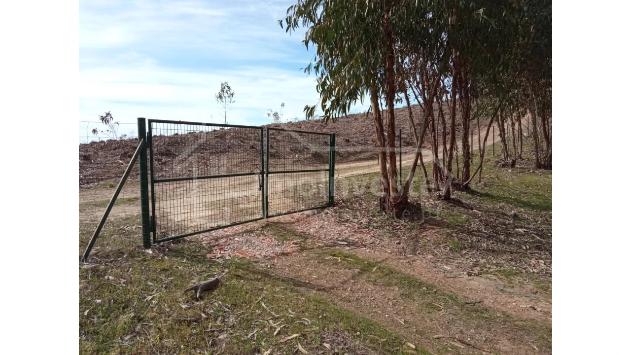 Quinta T1 para Venda em Escalos de Baixo e Mata Foto 35