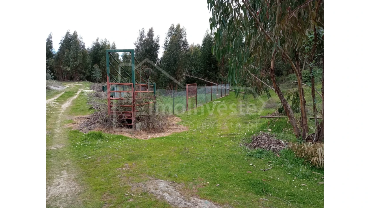 Quinta T1 para Venda em Escalos de Baixo e Mata Foto 39