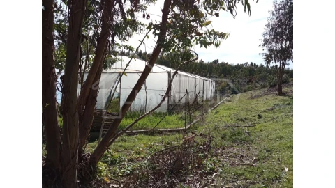 Quinta T1 para Venda em Escalos de Baixo e Mata