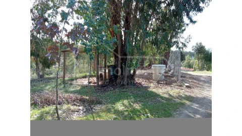 Quinta T1 para Venda em Escalos de Baixo e Mata