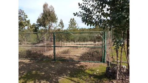 Quinta T1 para Venda em Escalos de Baixo e Mata