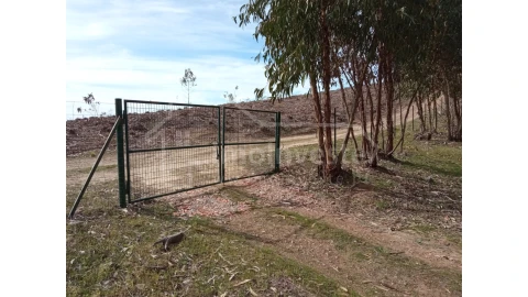 Quinta T1 para Venda em Escalos de Baixo e Mata