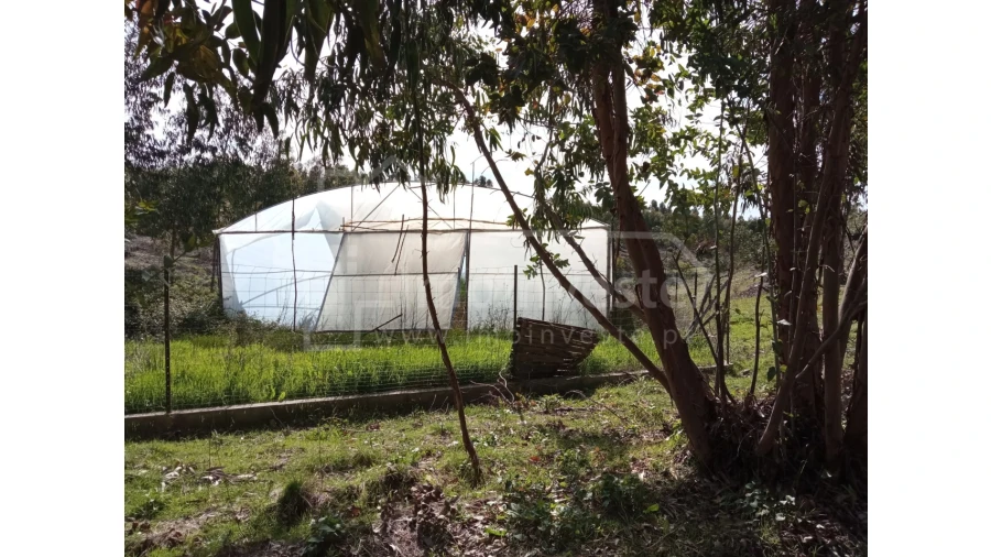 Quinta T1 para Venda em Escalos de Baixo e Mata Foto 11