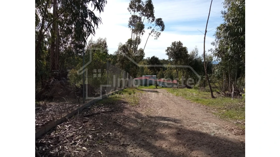 Quinta T1 para Venda em Escalos de Baixo e Mata Foto 14