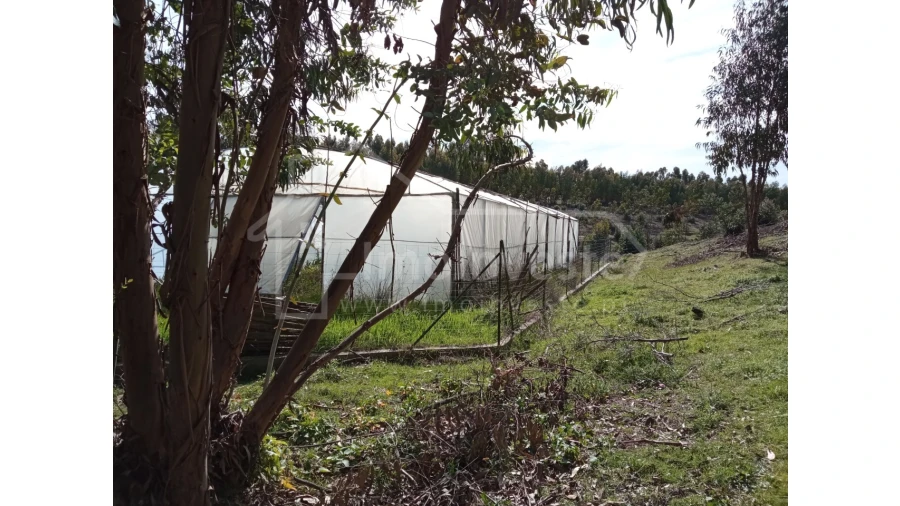Quinta T1 para Venda em Escalos de Baixo e Mata Foto 15