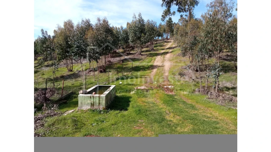 Quinta T1 para Venda em Escalos de Baixo e Mata Foto 21