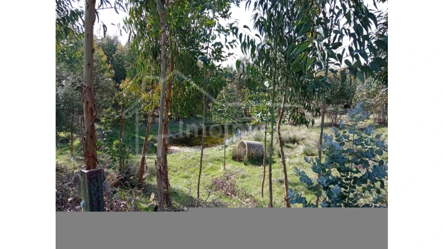 Quinta T1 para Venda em Escalos de Baixo e Mata Foto 22