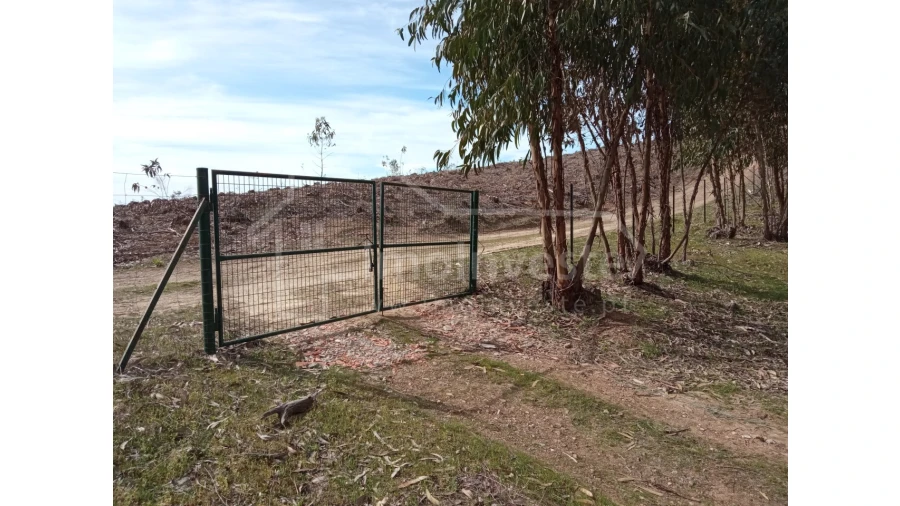 Quinta T1 para Venda em Escalos de Baixo e Mata Foto 35
