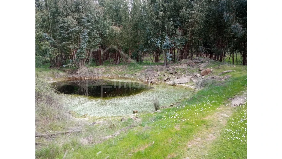 Quinta T1 para Venda em Escalos de Baixo e Mata Foto 36