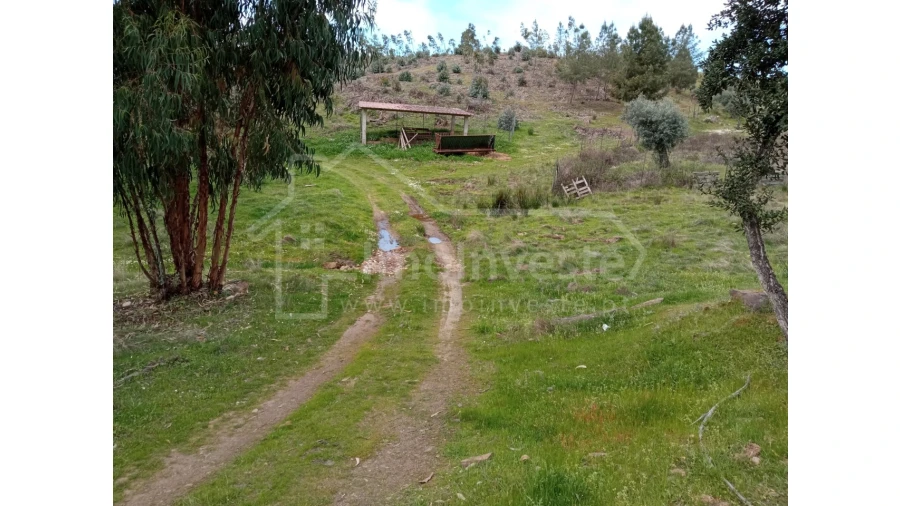 Quinta T1 para Venda em Escalos de Baixo e Mata Foto 38