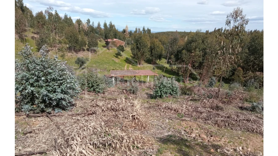 Quinta T1 para Venda em Escalos de Baixo e Mata Foto 40