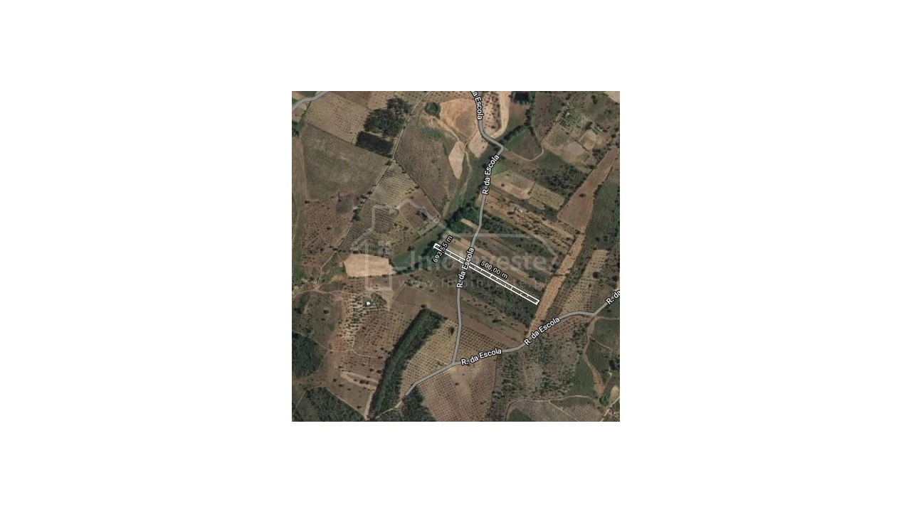 Terreno Agricola ou Rústico para Venda em Ninho do Açor e Sobral do Campo Foto 1