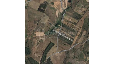 Terreno Agricola ou Rústico para Venda em Ninho do Açor e Sobral do Campo